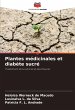 Plantes médicinales et diabète sucré - Bild 1
