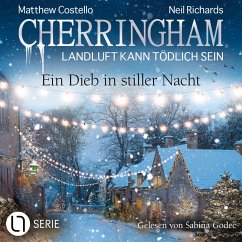 Cover Ein Dieb in stiller Nacht (MP3-Download)