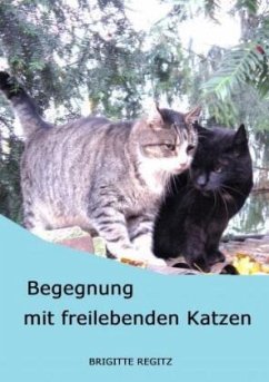 Cover Begegnung mit freilebenden Katzen.