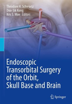 Cover Endoscopic Transorbital Surgery of the Orbit, Skull Base and Brain (eBook, PDF)