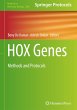 HOX Genes - Bild 1