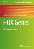 HOX Genes