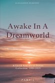 Awake In A Dreamworld Awake In A Dreamworld