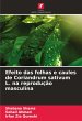 Efeito das folhas e caules de... - Bild 1