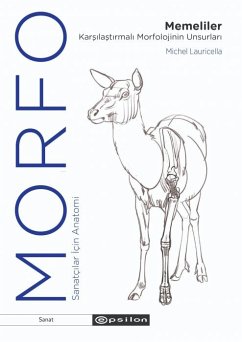 Cover Morfo
