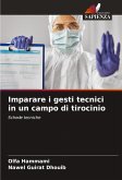 Imparare i gesti tecnici in un campo di tirocinio Imparare i gesti tecnici in un campo di tirocinio