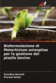 Bioformulazione di Metarhizium anisopliae per la gestione del pisello bovino Bioformulazione di Metarhizium anisopliae per la gestione del pisello bovino