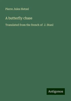 A butterfly chase - Hetzel, Pierre Jules