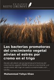 Las bacterias promotoras del crecimiento vegetal alivian el estrés por cromo en el trigo Las bacterias promotoras del crecimiento vegetal alivian el estrés por cromo en el trigo