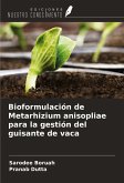Bioformulación de Metarhizium anisopliae para la gestión del guisante de vaca Bioformulación de Metarhizium anisopliae para la gestión del guisante de vaca