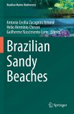 Brazilian Sandy Beaches Brazilian Sandy Beaches