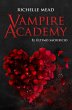 Vampire Academy 6: El último sacrificio - Bild 1