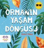 Ormanin Yasam Döngüsü