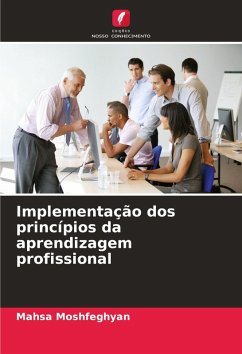 Cover Implementação dos princípios da aprendizagem profissional