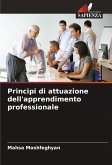Principi di attuazione dell'apprendimento professionale Principi di attuazione dell'apprendimento professionale
