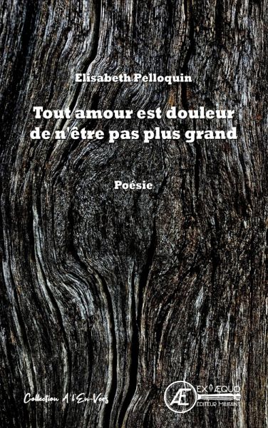 Tout amour est douleur de n'être pas plus grand (eBook, ePUB)
