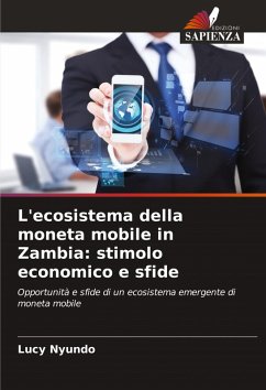 Cover L'ecosistema della moneta mobile in Zambia: stimolo economico e sfide