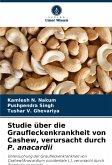 Studie über die Graufleckenkrankheit von Cashew, verursacht durch P. anacardii