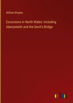 Excursions in North Wales: Including Aberystwith and the Devil's Bridge