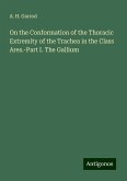 On the Conformation of the Thoracic Extremity of the Trachea in the Class Ares.-Part I. The Gallium