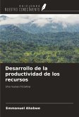 Desarrollo de la productividad de los recursos