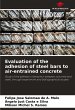 Evaluation of the adhesion of steel... - Bild 1