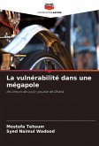La vulnérabilité dans une mégapole La vulnérabilité dans une mégapole