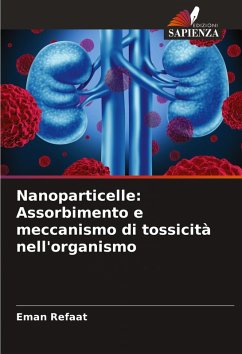 Cover Nanoparticelle: Assorbimento e meccanismo di tossicità nell'organismo