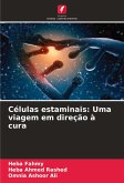 Células estaminais: Uma viagem em direção à cura Células estaminais: Uma viagem em direção à cura