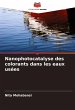 Nanophotocatalyse des colorants dans... - Bild 1