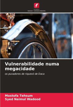Cover Vulnerabilidade numa megacidade