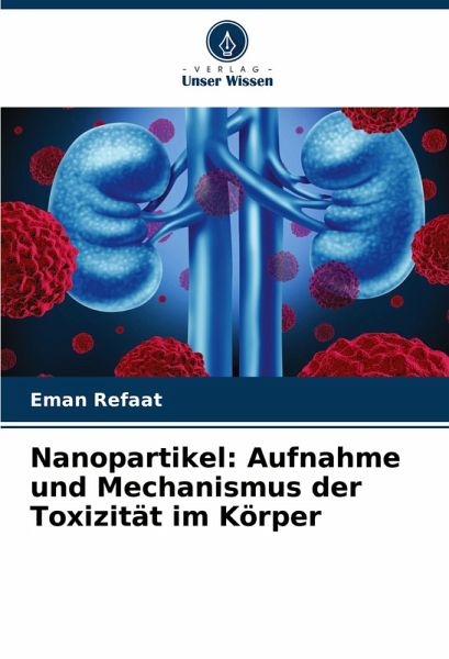 Nanopartikel: Aufnahme und Mechanismus der Toxizität im Körper