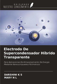 Electrodo De Supercondensador Híbrido Transparente Cover Electrodo De Supercondensador Híbrido Transparente