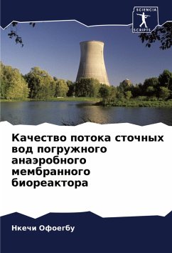 Cover Kachestwo potoka stochnyh wod pogruzhnogo anaärobnogo membrannogo bioreaktora
