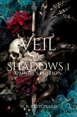 Veil of Shadows I