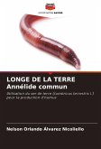 LONGE DE LA TERRE Annélide commun LONGE DE LA TERRE Annélide commun