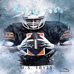 Storm - Irmãos Walker: Livro 3 (MP3-Download)