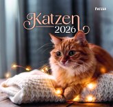 Katzen 2026