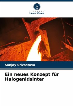 Cover Ein neues Konzept für Halogenidsinter