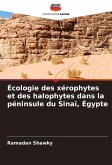 Écologie des xérophytes et des halophytes dans la péninsule du Sinaï, Égypte
