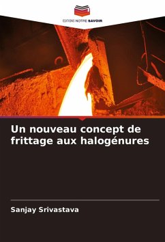 Un nouveau concept de frittage aux halogénures - Srivastava, Sanjay