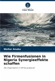 Wie Firmenfusionen in Nigeria Synergieeffekte schaffen Wie Firmenfusionen in Nigeria Synergieeffekte schaffen