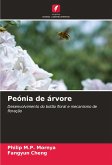 Peónia de árvore Peónia de árvore