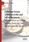 Different Forms of Microcredit and Social Business (eBook, PDF) Different Forms of Microcredit and Social Business (eBook, PDF)
