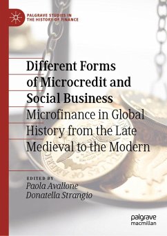 Different Forms of Microcredit and Social Business (eBook, PDF)