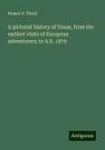 A pictorial history of Texas, from the earliest visits of European adventurers, to A.D. 1879