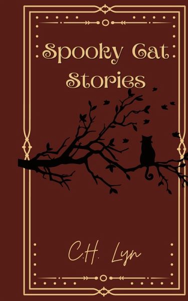 Spooky Cat Stories Spooky Cat Stories
