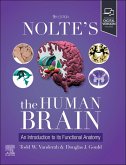 Nolte's The Human Brain Nolte's The Human Brain