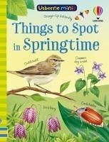 Things to Spot in Springtime - Nolan, Kate; Bryan, Lara