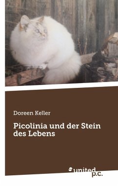 Cover Picolinia und der Stein des Lebens